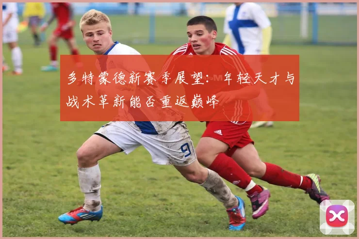 多特蒙德新赛季展望：年轻天才与战术革新能否重返巅峰