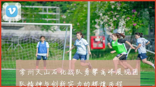 常州天山石化战队勇攀高峰展现团队精神与创新实力的辉煌历程