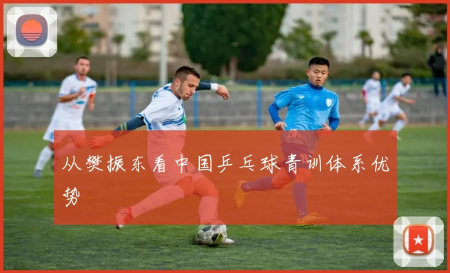 从樊振东看中国乒乓球青训体系优势