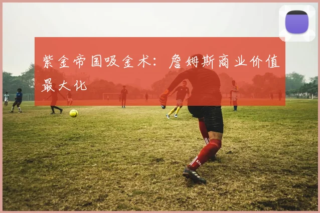 紫金帝国吸金术：詹姆斯商业价值最大化