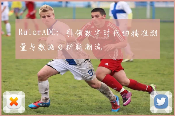 RulerADC：引领数字时代的精准测量与数据分析新潮流