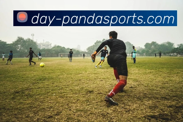 PANDA全站App